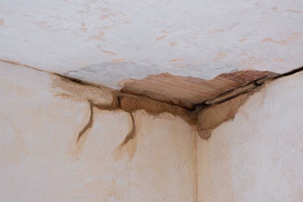 Best Ceiling water damage repair  in Midland, NC