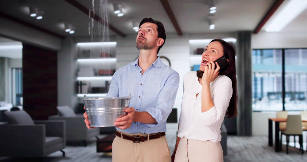 Best Professional water damage repair  in Midland, NC