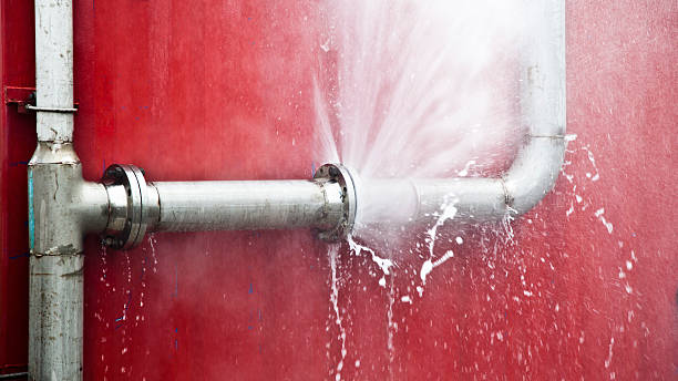 Best Local water damage restoration  in Midland, NC