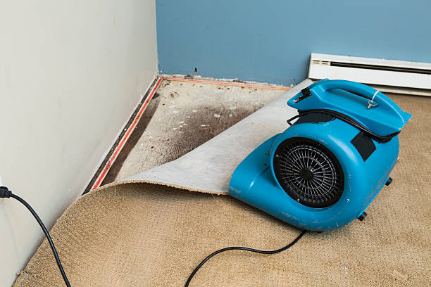 Best Water damage contractors near me  in Midland, NC